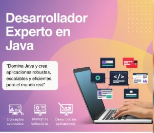 Desarrollador experto en Java
