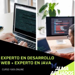 Experto en desarrollo web + experto en Java